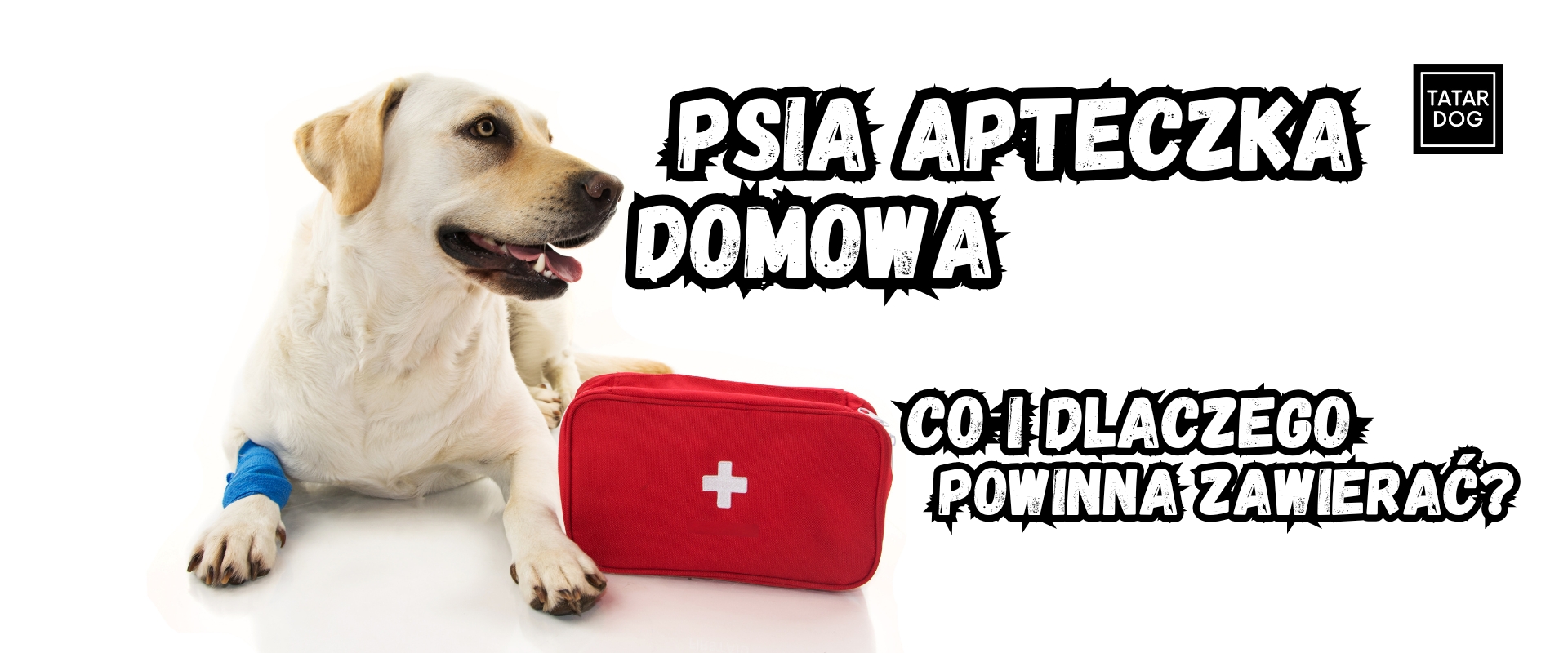 co powinna zawierać psia apteczka pierwszej pomocy